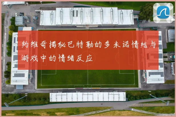 约维奇揭秘巴特勒的多米诺情结与游戏中的情绪反应