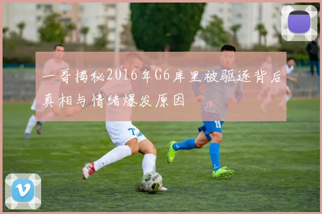 一哥揭秘2016年G6库里被驱逐背后真相与情绪爆发原因